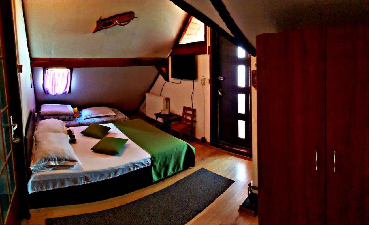 Pensiunea Micutul Vrajitor Arefu Extérieur photo